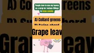 Riddles in English with Answer | Vibrant Vine.. #riddles #puzzles #gk #kids #shortsfeed #kidsvideo