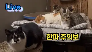 아픈 척이들...