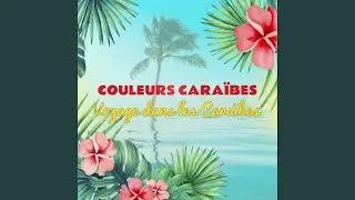 Allo coco décroche
