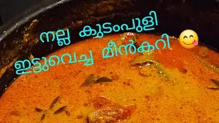 നല്ല കുടംപുളിഇട്ടുവെച്ച മീൻകറി😋| meencurry | recipe | youtube | vaigakuttysworld #youtube #minivlog