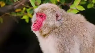 Азія