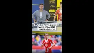 Wanner-Zukunft
