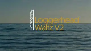 Loggerhead Waltz | Oceanography edition V2 | Exploring shelf geology and coastal processes