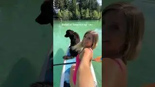 Paddle boarding in clearest water I&rsquo;ve seen in Canada 🇨🇦 #standuppaddle #adventureswithdogs m