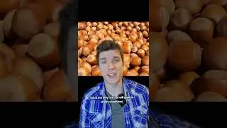 Фундук. Выращивание орехов в тени #усадьба