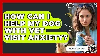 How Can I Help My Dog With Vet Visit Anxiety? - Obedient Dog Guide