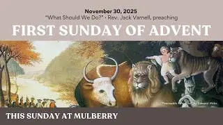 What Should We Do? | JACK VARNELL