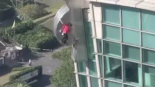 How Alex Honnold had a skyscraper bent