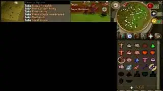 1 H1t 0wn Ya BH Worlds Drops Runescape