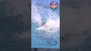 Lot pszcz&oacute;łki | Ninja Warrior Polska 6