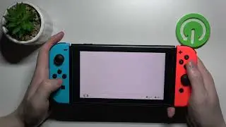 Как включить/выключить вибрацию контроллера на Nintendo Switch?