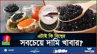 ১ কেজি মাছের ডিম ৪২ লাখ টাকা! | Caviar | Expensive Food | Food | BanglaVision