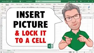 How to Insert Picture & Auto Resize with Excel Cell lec 15||  Excel insert Tab || Illustration||