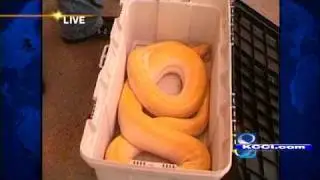 Iowa State Fair: Kurtis & The Snake 2010