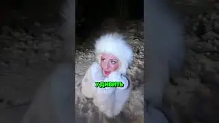 Самый рискованный вариант тренда 😳