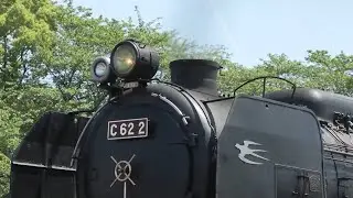 SLスチーム号　C622号機、新緑の梅小路に響く雄叫び！　2023.04.23
