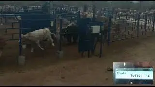 Registro autom&aacute;tico GATE SIITRAN