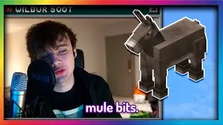mule bits
