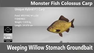 Fishing Planet, Monster Fish Mission, Weeping Willow Stomach Groundbait Part 1