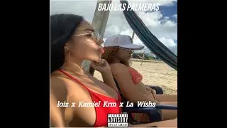 Bajo Las Palmeras - Kamiel Krm x La Wisha x Loiz (Visualizer)