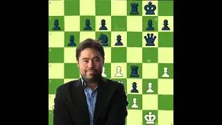 Hikaru Nakamura Brilliancy ✨🤫