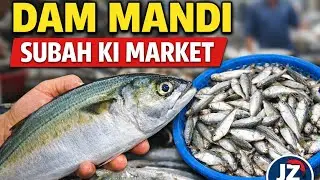 Dam Mandi ki machhli zyada fresh hoti hai aur sham ke muqable mein munasib rate par milti hai