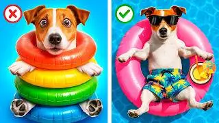 We Build a Tiny Water Park for Pets at Home!