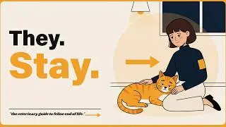 5 Warning Signs Your Cat Is Dying 💔 (Must-Know Feline End-of-Life Symptoms)