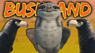 We Play Wild Bushland...