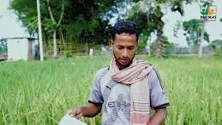 AWD Technology in Rice Cultivation | Save Water & Climate Resilient | BURO Bangladesh &ndash; SMAP Project