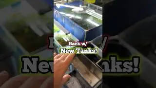 Free Substrate Setting Up Aquariums Natural Method 2 NEW 125s! 🫣 #aquarium #fish