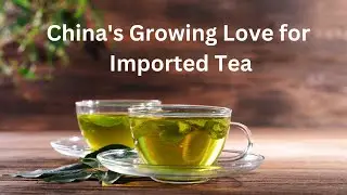 China's Growing Love for Imported Tea