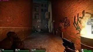 Left 4 Dead - Ultra Settings (GTX 780m SLI)
