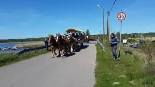 R&uuml;gener Gespannfahrer