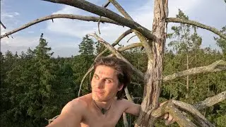 Free Solo Ascent Very Risky Dead - Anyone Branches Can Break - The German Tree Free Climber