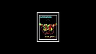 PINK FLOYD - 'COMFORTABLY NUMB' (Ian Stone's 2024 Remixed & Extended Version)
