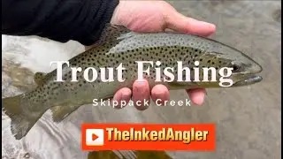 Trout Fishing: Skippack Creek (April 20, 2024) #fishing #troutfishing #troutseason #fishingfanatics