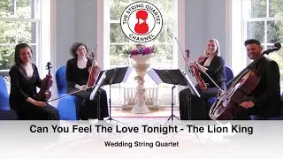 Can You Feel The Love Tonight (The Lion King) String Quartet Wedding Songs