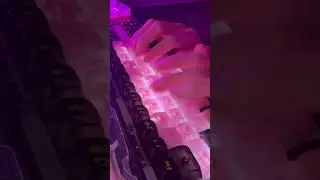 ASMR Mechanical Keyboard Typing NO TALKING Buttons Clicky Sounds