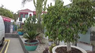 Vista Flor Maspalomas