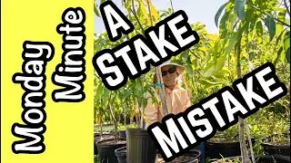 Monday Minute- A Stake Mistake!