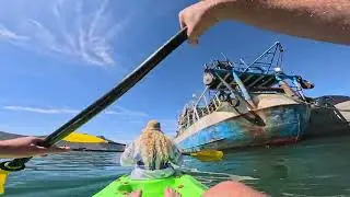 Kayaking in Hout Bay | Cape Town
