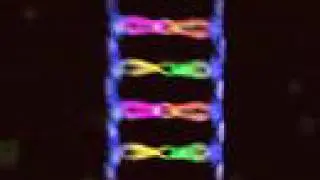 BioRap (DNA Replication and Protein Synthesis with a Beat)