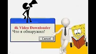 4k Video Downloader с аудио  обложкой придачу