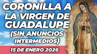 CORONILLA a la Virgen de Guadalupe (SIN ANUNCIOS INTERMEDIOS) 🙏💖15 de Enero 2026 🙏💖