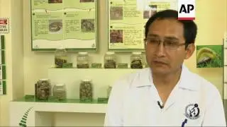 Snake museum also milks venom from dangerous species