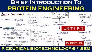 Protein Engineering | Brief Introduction to Protein engineering | methods | Application | B pharmacy