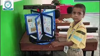 :🎓 Aravali International School, Rewari | Holiday Homework Display by Students 🖼️📚