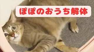 お家解体？【House demolition?】