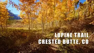 Lupine Trail and the Gunsight Connector, Crested Butte, Colorado